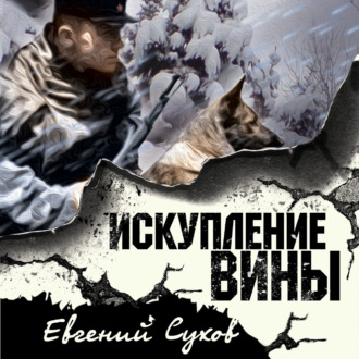 Обложка книги «Искупление вины»