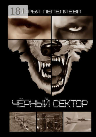 Дарья Пепеляева. Чёрный сектор