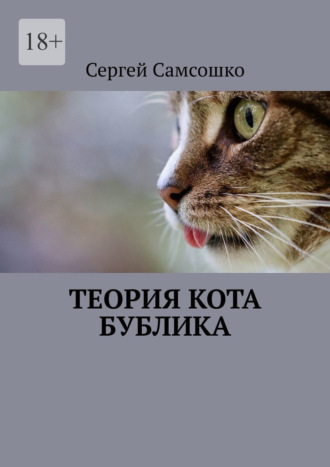 Сергей Самсошко. Теория кота Бублика