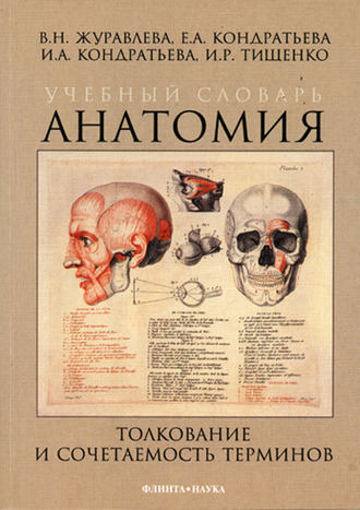 Е. А. Кондратьева. Учебный словарь. Анатомия. Толкование и сочетаемость терминов