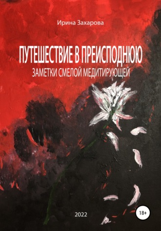 Обложка книги «Путешествие в Преисподнюю. Заметки смелой медитирующей»