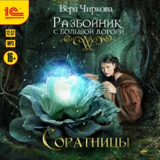 Обложка книги «Разбойник с большой дороги. Соратницы»
