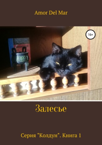 Обложка книги «Залесье»