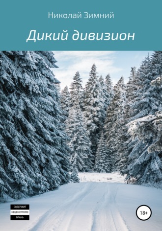 Обложка книги «Дикий дивизион»