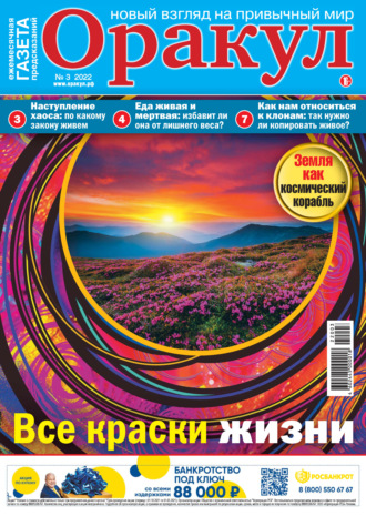 Обложка книги «Оракул №03/2022»