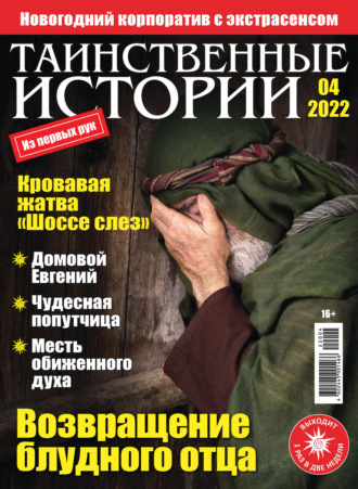 Обложка книги «Таинственные истории №04/2022»