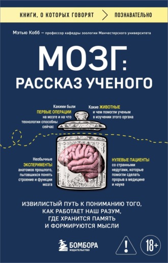 Мэтью Кобб. Мозг: рассказ ученого. Извилистый путь к пониманию того, как работает наш разум, где хранится память и формируются мысли