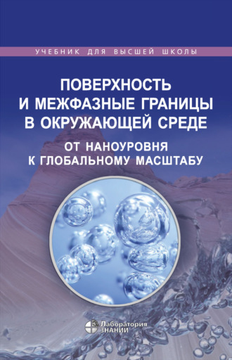 Патриция Морис. Поверхность и межфазные границы в окружающей среде. От наноуровня к глобальному масштабу