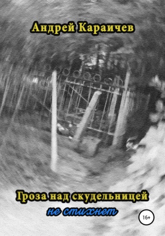 Обложка книги «Гроза над скудельницей… не стихнет»
