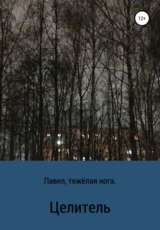 Обложка книги «Целитель»