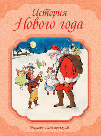 Обложка книги «История Нового года»