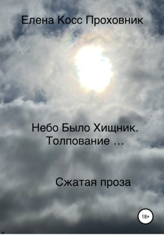 Обложка книги «Небо было хищник. Толпование…»