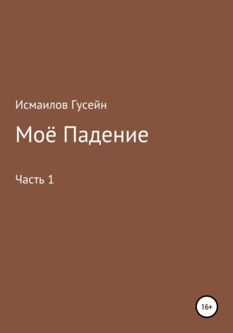 Обложка книги «Моё падение»