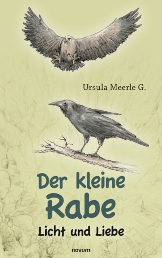 Ursula Meerle G.. Der kleine Rabe