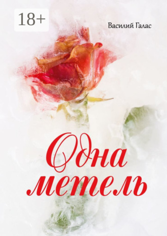 Обложка книги «Одна метель»