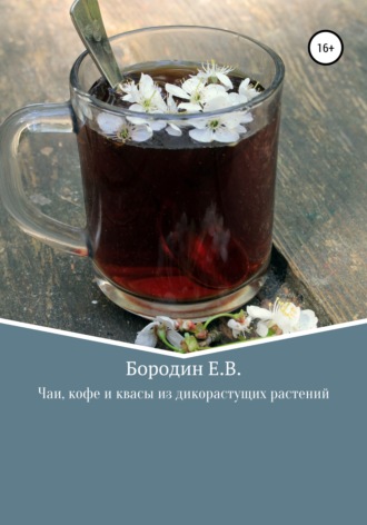 Обложка книги «Чаи, кофе и квасы из дикорастущих растений»