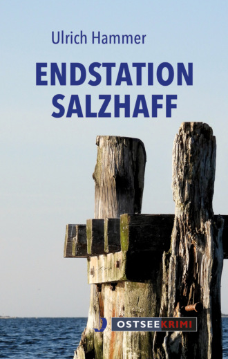 Ulrich Hammer. Endstation Salzhaff