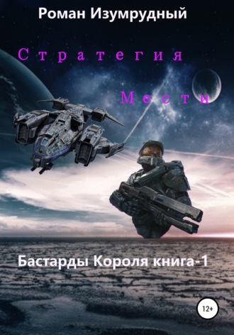 Обложка книги «Стратегия Мести»