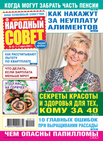 Обложка книги «Народный совет №10/2022»