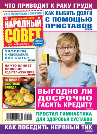 Обложка книги «Народный совет №11/2022»