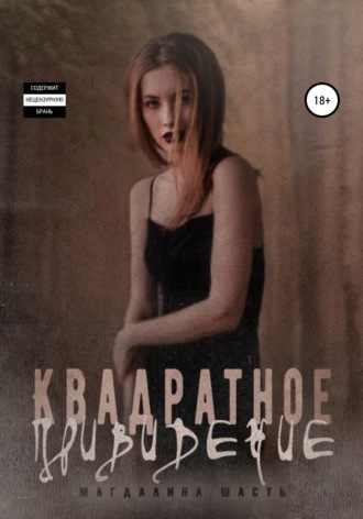 Обложка книги «Квадратное привидение»