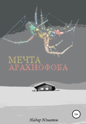 Обложка книги «Мечта арахнофоба»