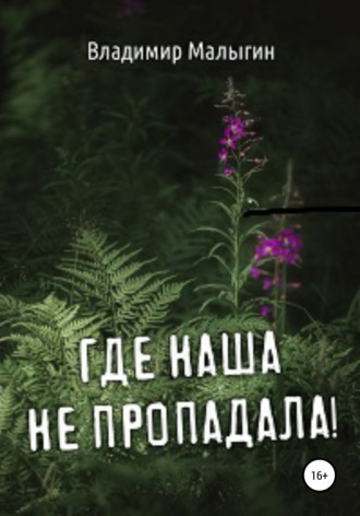 Обложка книги «Где наша не пропадала»