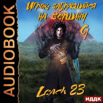 Обложка книги «Игрок, забравшийся на вершину. Книга 9»