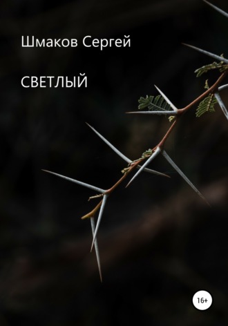 Обложка книги «Светлый»