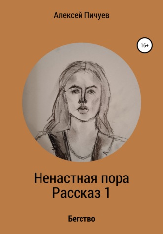 Обложка книги «Ненастная пора. Часть 1»