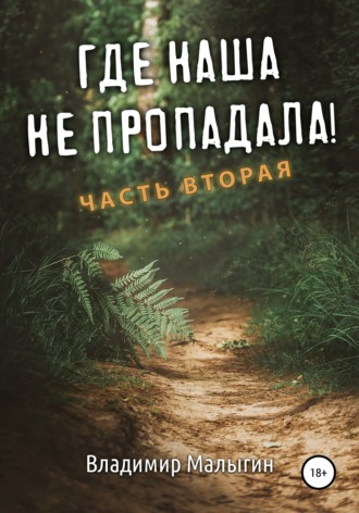 Обложка книги «Где наша не пропадала. Часть вторая»