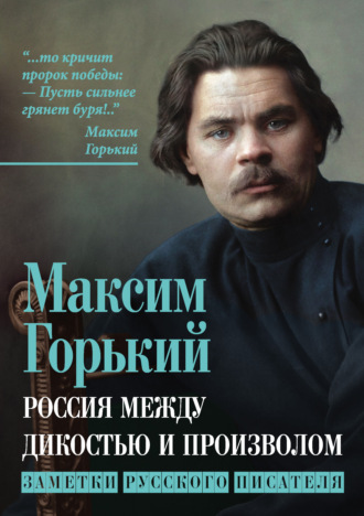 Обложка книги «Россия между дикостью и произволом. Заметки русского писателя»