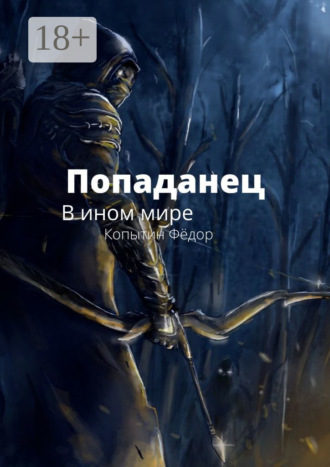 Обложка книги «Попаданец. В ином мире»