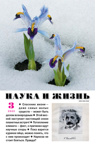Обложка книги «Наука и жизнь №03/2022»