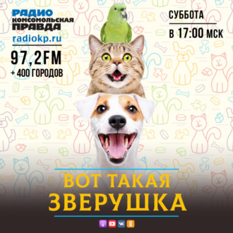 Обложка книги «Почему некоторые регионы не разрешили зоомагазинам работать в выходную неделю»