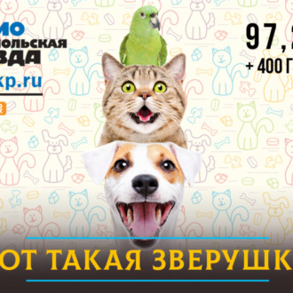 Обложка книги «В России могут вернуть лицензирование ветеринарных клиник. Вырастет ли качество услуг?»