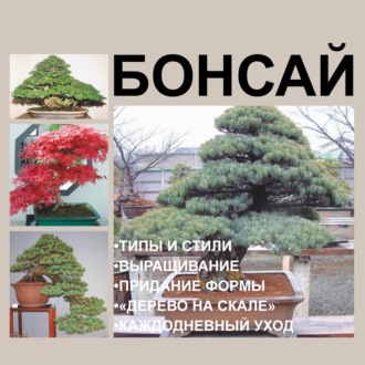 Обложка книги «Бонсай»