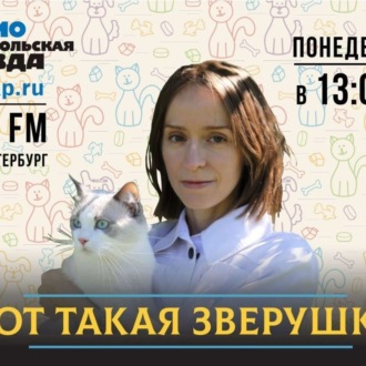 Обложка книги «Праздник для человека - стресс для питомца: Как подготовить домашних животных к грохоту новогодних фейерверков»