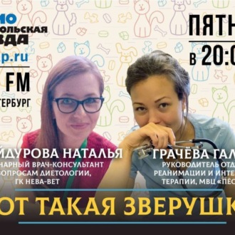 Обложка книги «Праздник для человека - стресс для питомца: Как подготовить домашних животных к Новому году»