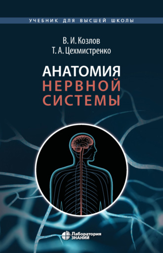 В. И. Козлов. Анатомия нервной системы