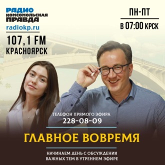 Обложка книги «Как сейчас в Красноярске решают проблему бродячих собак»