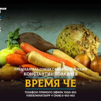 Обложка книги «Что ждет садоводов Челябинской области после введения нового закона»