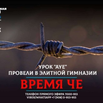 Обложка книги «В элитной гимназии Челябинска провели урок "АУЕ"»