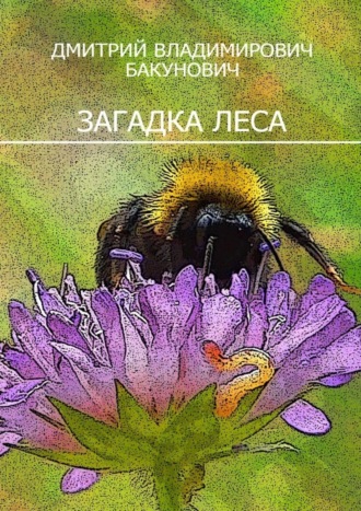 Обложка книги «Загадка леса»
