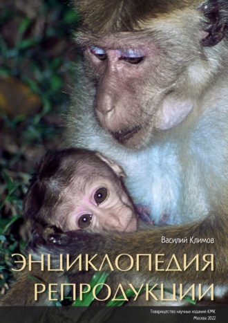 Обложка книги «Энциклопедия репродукции (pdf+epub)»