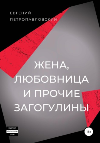 Обложка книги «Жена, любовница и прочие загогулины»