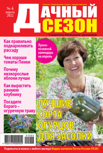 Обложка книги «Дачный сезон №04/2022»