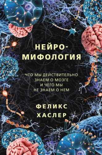 Обложка книги «Нейромифология. Что мы действительно знаем о мозге и чего мы не знаем о нем»
