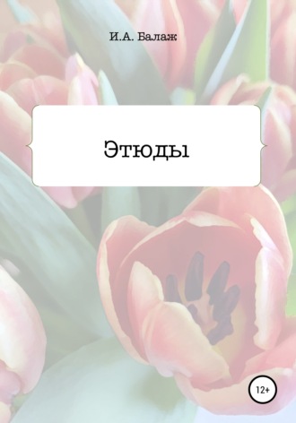 Обложка книги «Этюды»