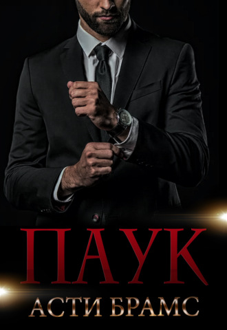Обложка книги «Паук»